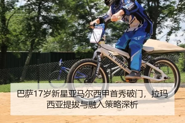 ba-sa-sui-xin-xing-ya-ma-er-xi-jia-shou-xiu-po-men-la-ma-xi-ya-ti-ba-yu-rong-ru-ce-lve-shen-xi-2-371.jpg